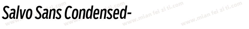 Salvo Sans Condensed字体转换